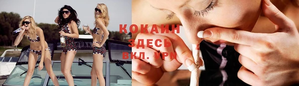 твердый Слюдянка