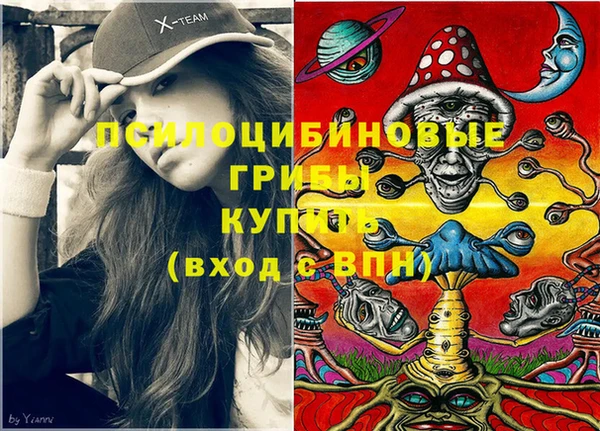 твердый Слюдянка