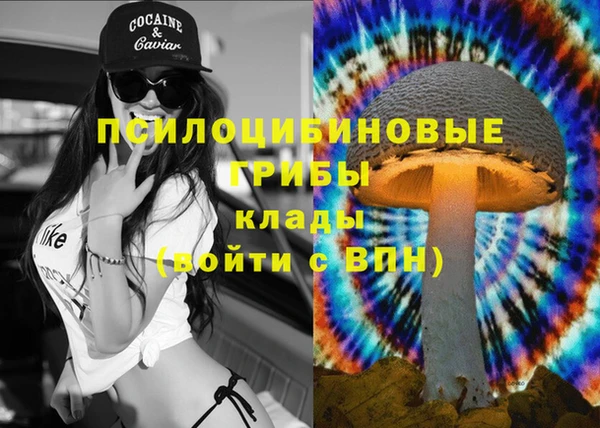 мескалин Снежногорск