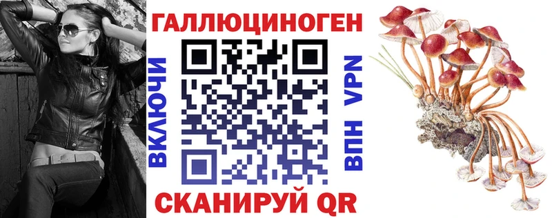 продажа наркотиков Геленджик Галлюциногенные грибы GOLDEN TEACHER