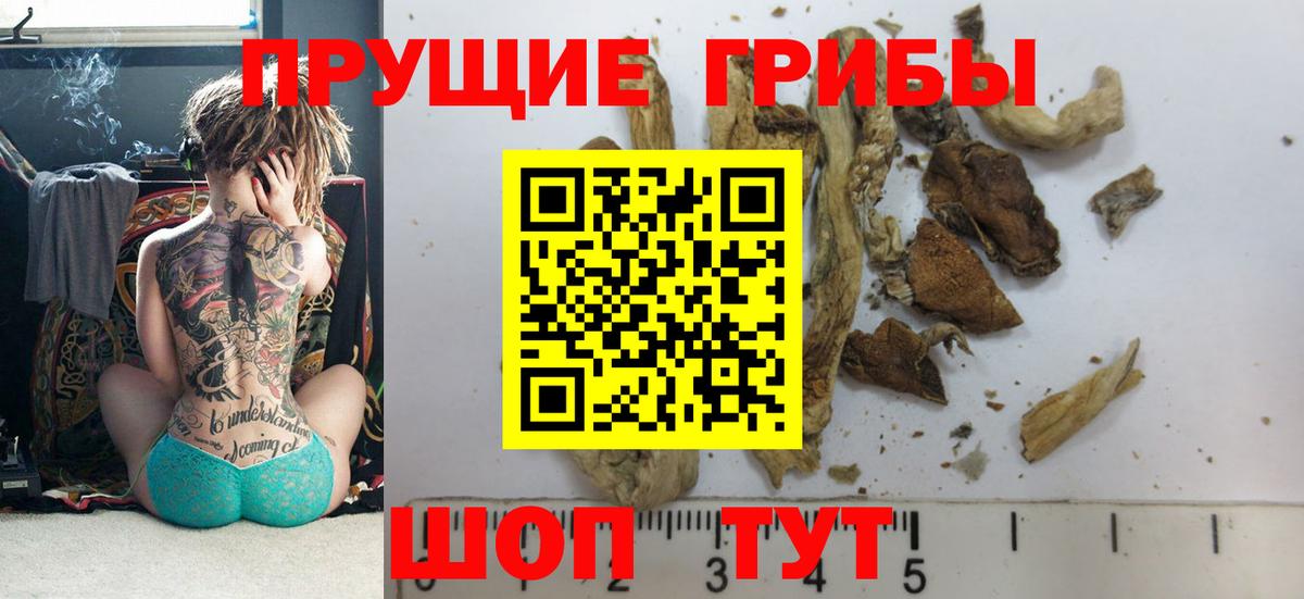 Галлюциногенные грибы GOLDEN TEACHER  Вход с VPN  Геленджик 