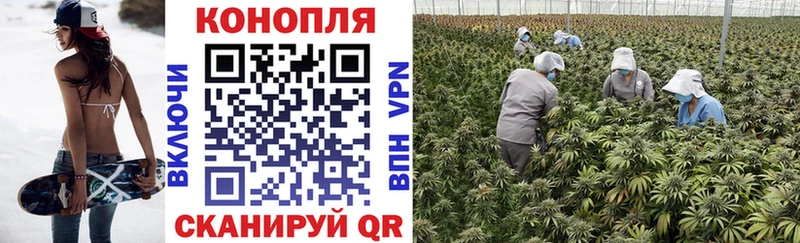 где продают наркотики Геленджик Марихуана LSD WEED